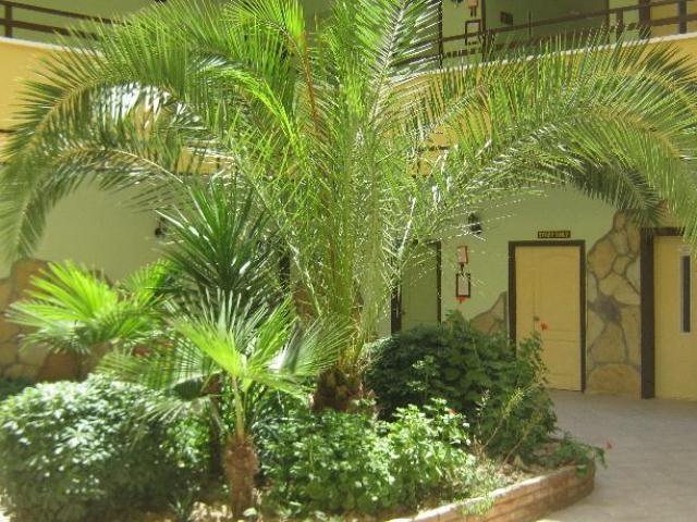 Oya Apartments Kusadasi Bagian luar foto